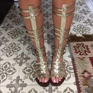 Steve Madden champagne gladiator sandals
